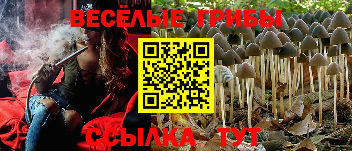 Партизанск  Галлюциногенные грибы Cubensis  Галлюциногенные грибы MAGIC MUSHROOMS  Вход с VPN 